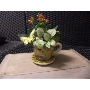 Plant Arrangement in a Cup and saucer